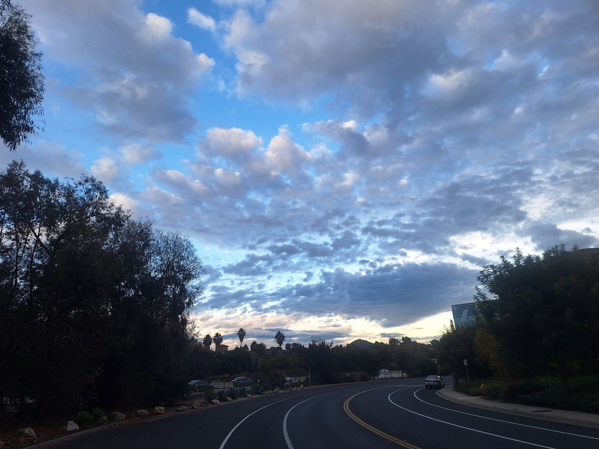 CLee71's tweet image. 