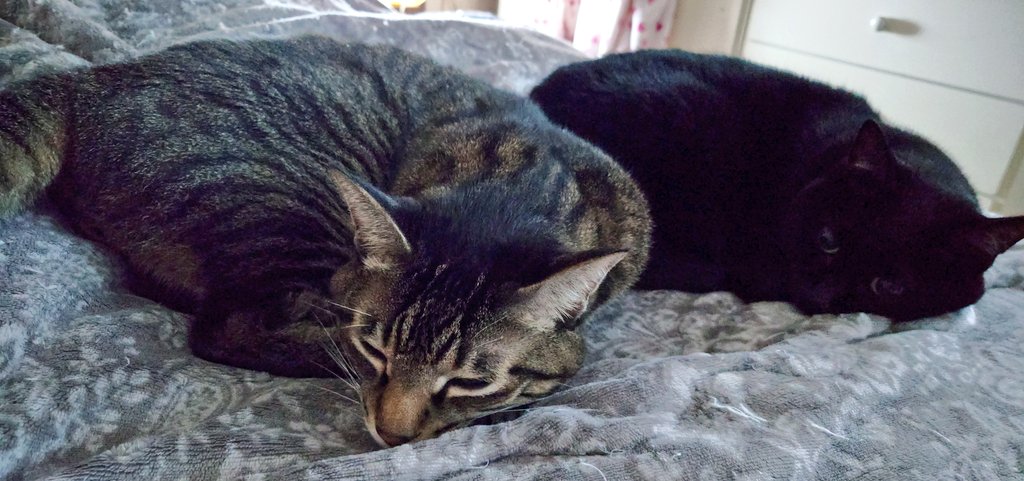 同じ姿勢で寝る兄妹☺️
おはようございます☀️今日も張り切って頑張りましょ〜