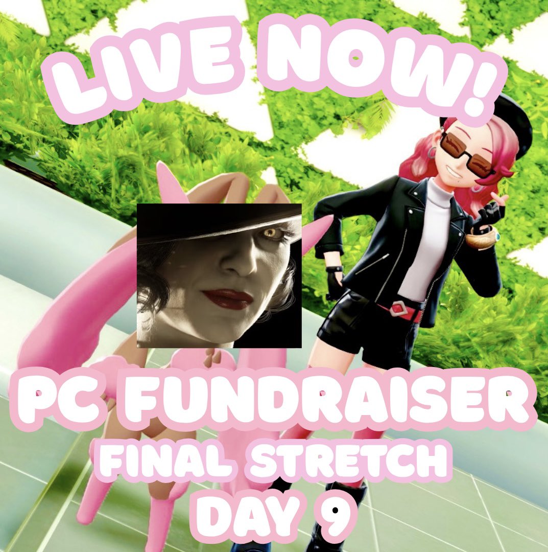⭐️ IT’S TIME FOR THE FINAL STRETCH! ⭐️

Day 9 of the PC Fundraiser will include Pokémon Legends ZA &amp; Resident Evil Village! We got four hours ahead of us!! Let’s raise some money! 💖💖💖

twitch.tv/damsel__fly