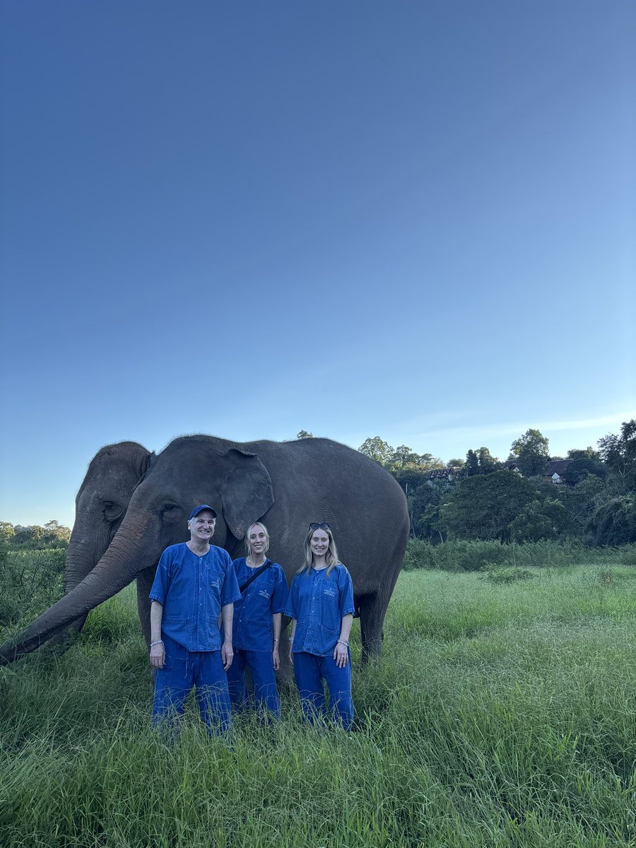 MarkAlanThomson's tweet image. Walking with giants up in the Golden Triangle never gets old - this time with the ladies Benz and Boonrod. #Thailand #travel #ChiangRai #elephants #AnantaraGoldenTriangle