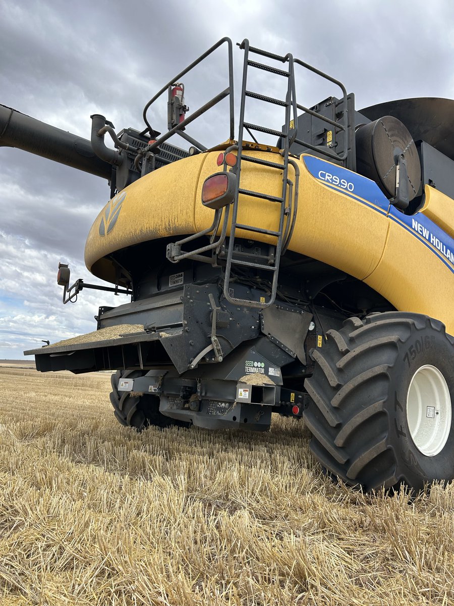 seed_terminator's tweet image. Two New Hollands, two Terminators, and one rain delay near Port Neill, SA.
Here’s hoping it dries out and they’re back into it soon 🙏

@CurtisSaleSrvc #harvest25 #HWSC 

One is a MY17 Seed Terminator still going strong 💪🏻
