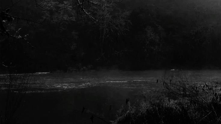 v3x_v0id's tweet image. ⠀:¨ ·.· ¨: Vex’s #edtwt intro 
⠀  `· . he/him, 19
⠀⠀     don’t rlly have a dni
           just don’t be weird🫶🏼

         ————⋆⋅☆⋅⋆ ————

 ♡ / ↻ to be moots 𝜗𝜚 ifb everyone!!