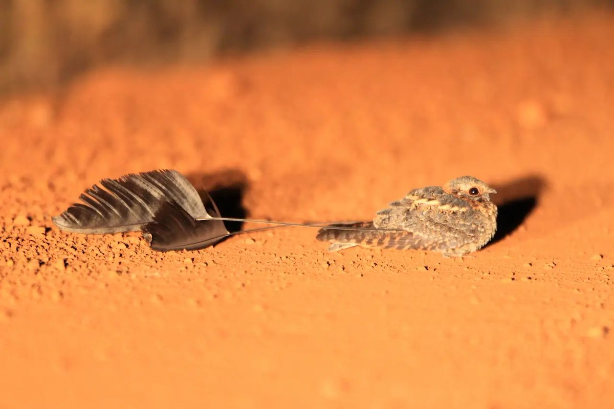 this is making me giggle a lot like. it gets to a point