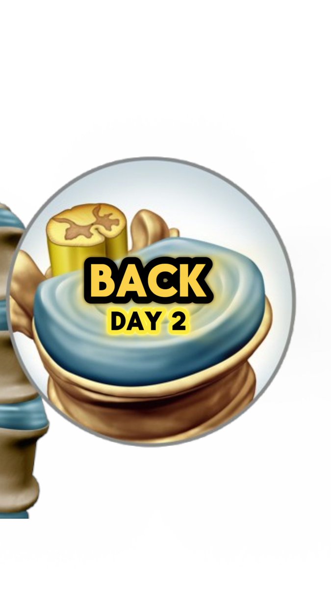 ATGScience's tweet image. This is Day 2 of sharing EVERY EXERCISE I use to maintain a pain-free, STRONG, and MOBILE *BACK* according to SCIENCE! 🧵