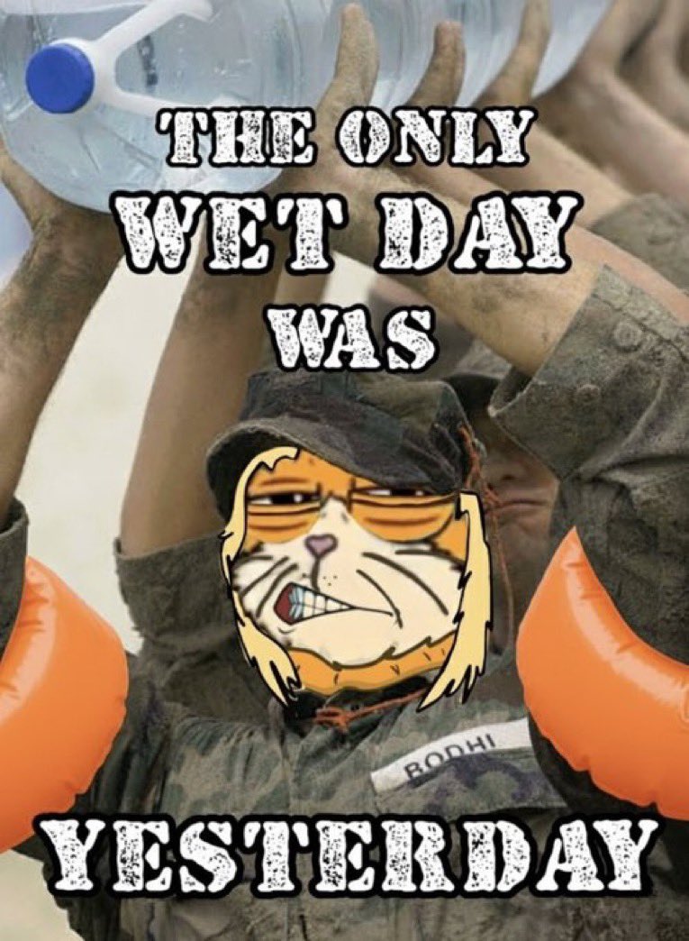 Now.

Now is when we’ll see the real communities stay strong. 

Stay $BODHI 

Moist of all, stay wet 💦

Cuz, whose gonna carry the floats 🛟🛟