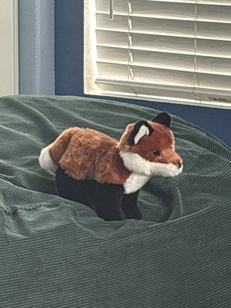 letodiet's tweet image. This is Rusty the fox his favorite hobbies are playing games and drawing