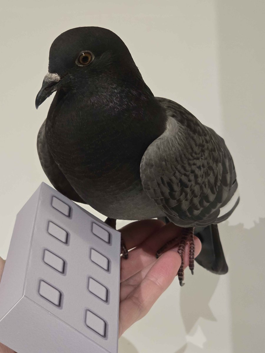 OneSkyVed's tweet image. recently my post about f3x paper edition got popular again, so i present to you: Medium stone grey default part

#Roblox #RobloxDev