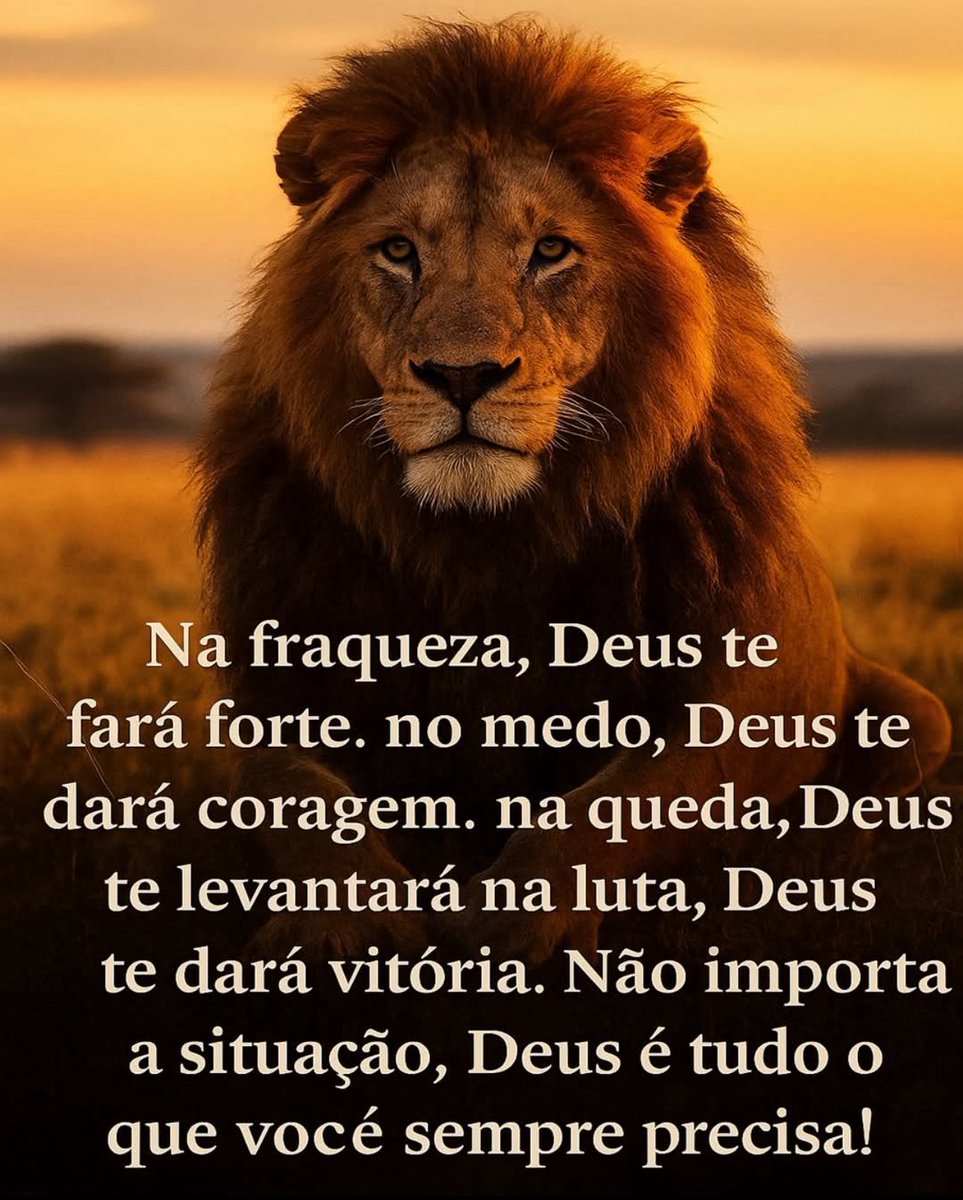 Boa noite 🌙