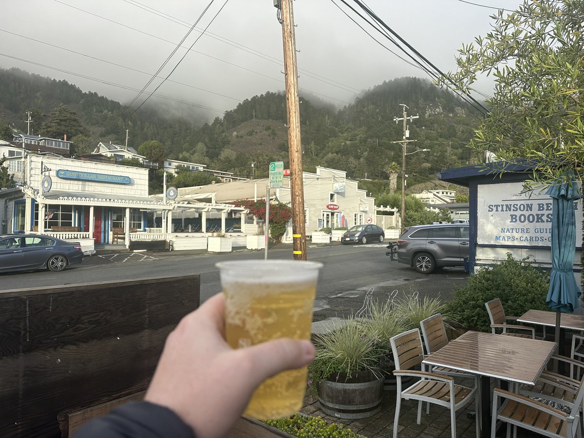 i believe it was <a href="/TenreiroDaniel/">Daniel Tenreiro</a>  who said "There’s a place in California called Marin county where every day is perfect &amp; ever since I spent some time there it’s haunted me”

after he went to Marin County with me for a day