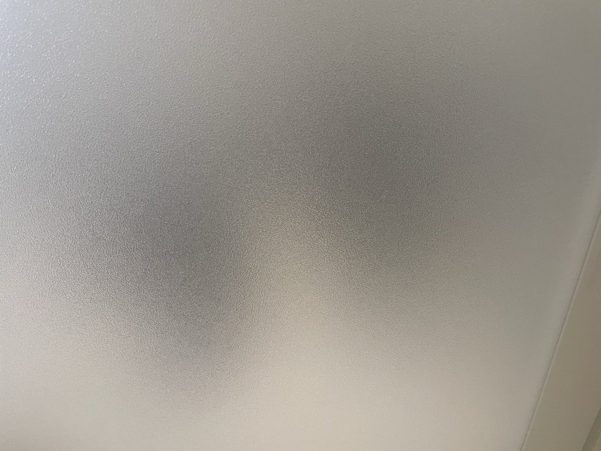 jira1010's tweet image. 今日は
『宮古島残念だったね昼呑み会🍺』
のため有給

(有給使うならがしみや行きたかったZE🥺

とても良いお天気で
洗濯物干すのも気持ちが良い日

いつものバッタバタな朝とは違う
さすが有給✨

でもお風呂はゆっくり入れない
(ずっと見張っててずっとドアたたいてくる

♨️20分で終了