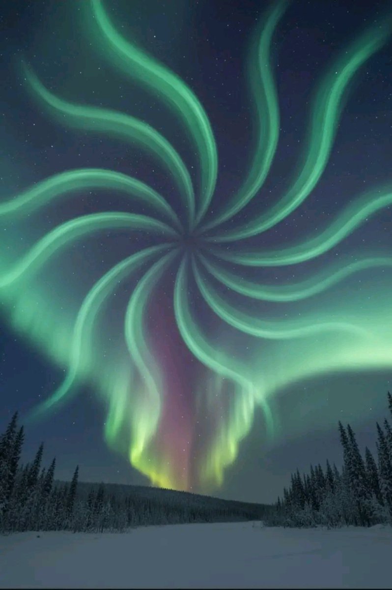 OrgPhysics's tweet image. NORTHERN LIGHTS- Very Unique Aurora In Alaska Once For 100 Years Last Night...

The aurora unfurls across the night sky like a celestial whirl of glowing petals, each ribbon of light dancing with quiet cosmic grace.
Beneath its radiant spiral, the frozen landscape stands..