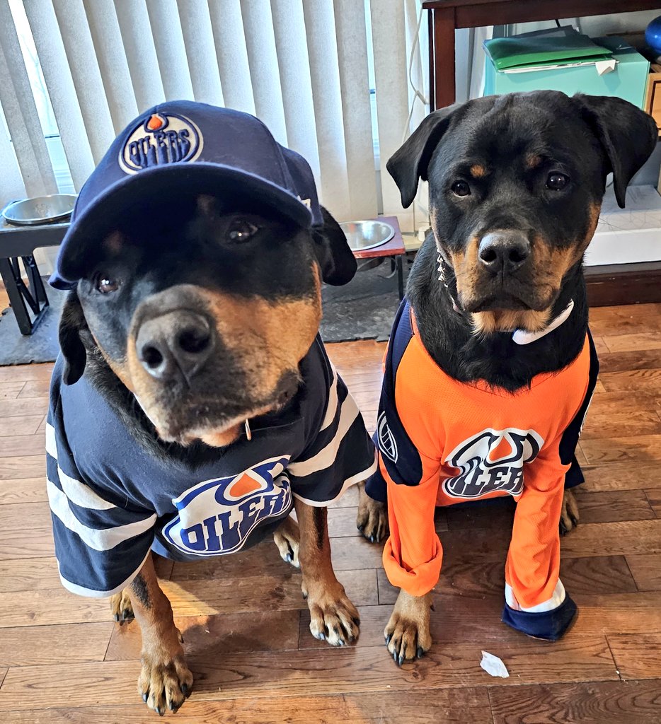 Tonight my <a href="/EdmontonOilers/">Edmonton Oilers</a> are playing the <a href="/BlueJacketsNHL/">Columbus Blue Jackets</a>! It's #ThrowbackThursday so here's an awesome #Oilers fandog pic! 
My prediction for tonight? 
Oilers 3-BlueJackets 2
Tonight's goaltreat is chicken bites! And I'm hungry!!! 
#LetsGoOilers