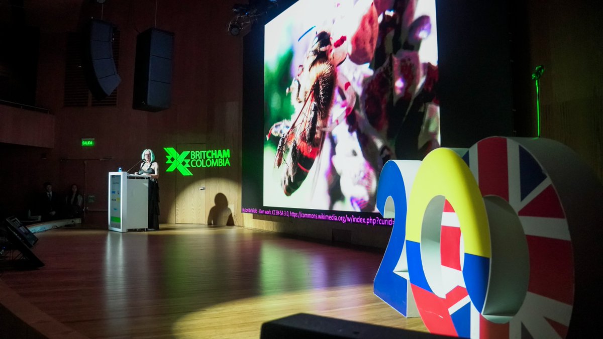 FundacionPlan's tweet image. Nuestro proyecto EmpoderArte por la Paz ha transformado vidas en 6 municipios, fortaleciendo liderazgos y construyendo paz con más de 30 mil niñas, niños y jóvenes 👧👦💙

#EmpoderArtePorLaPaz #PremiosBritCham #ConstruyendoPaz