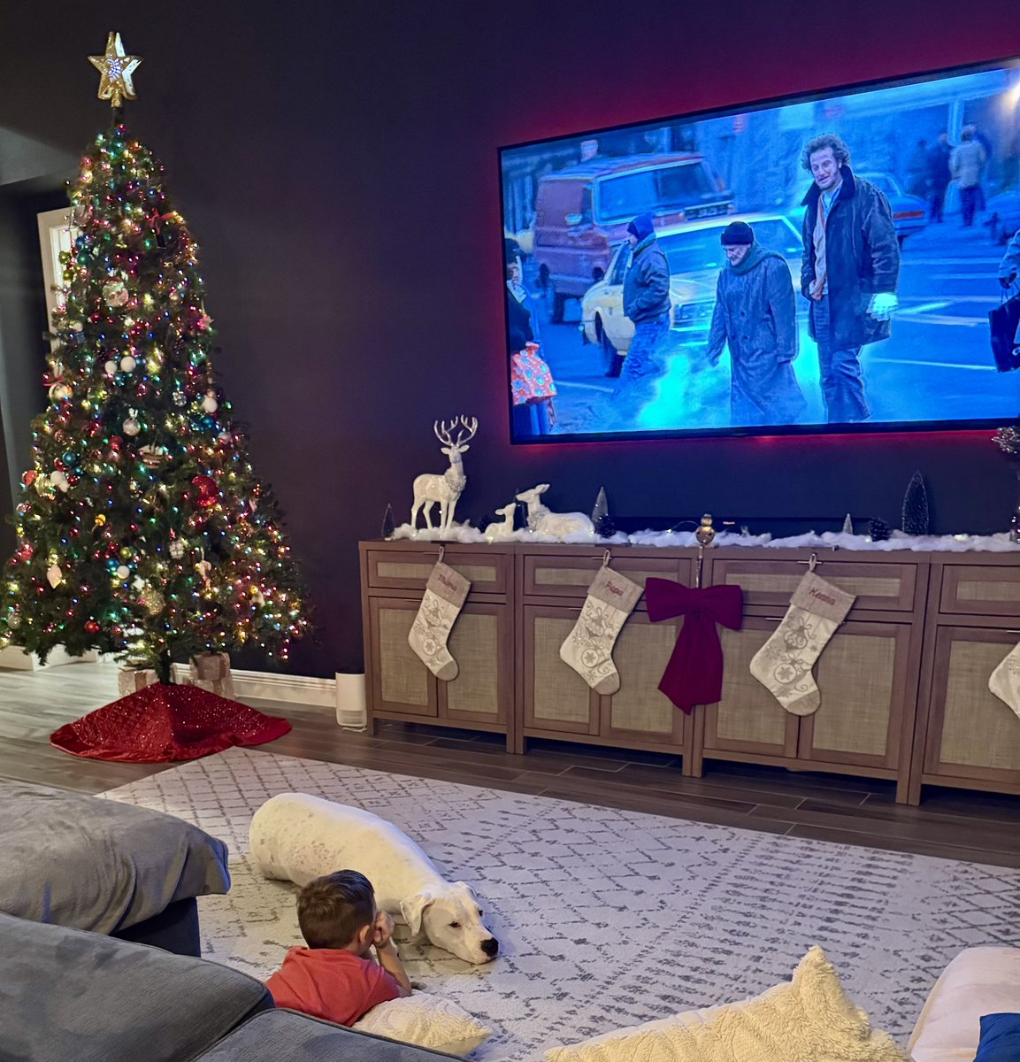 DanModerate's tweet image. Yes, that is Home Alone 2.
We have already watched Home Alone 1, and Elf and Christmas Chronicles….