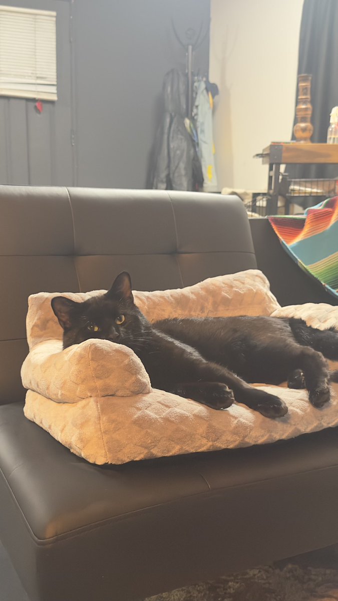 Bro has his own couch for the couch