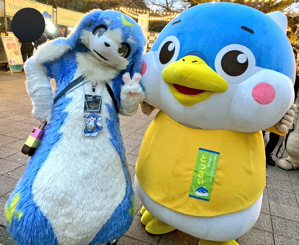 ボルテ《next⇒未定》 tweet media