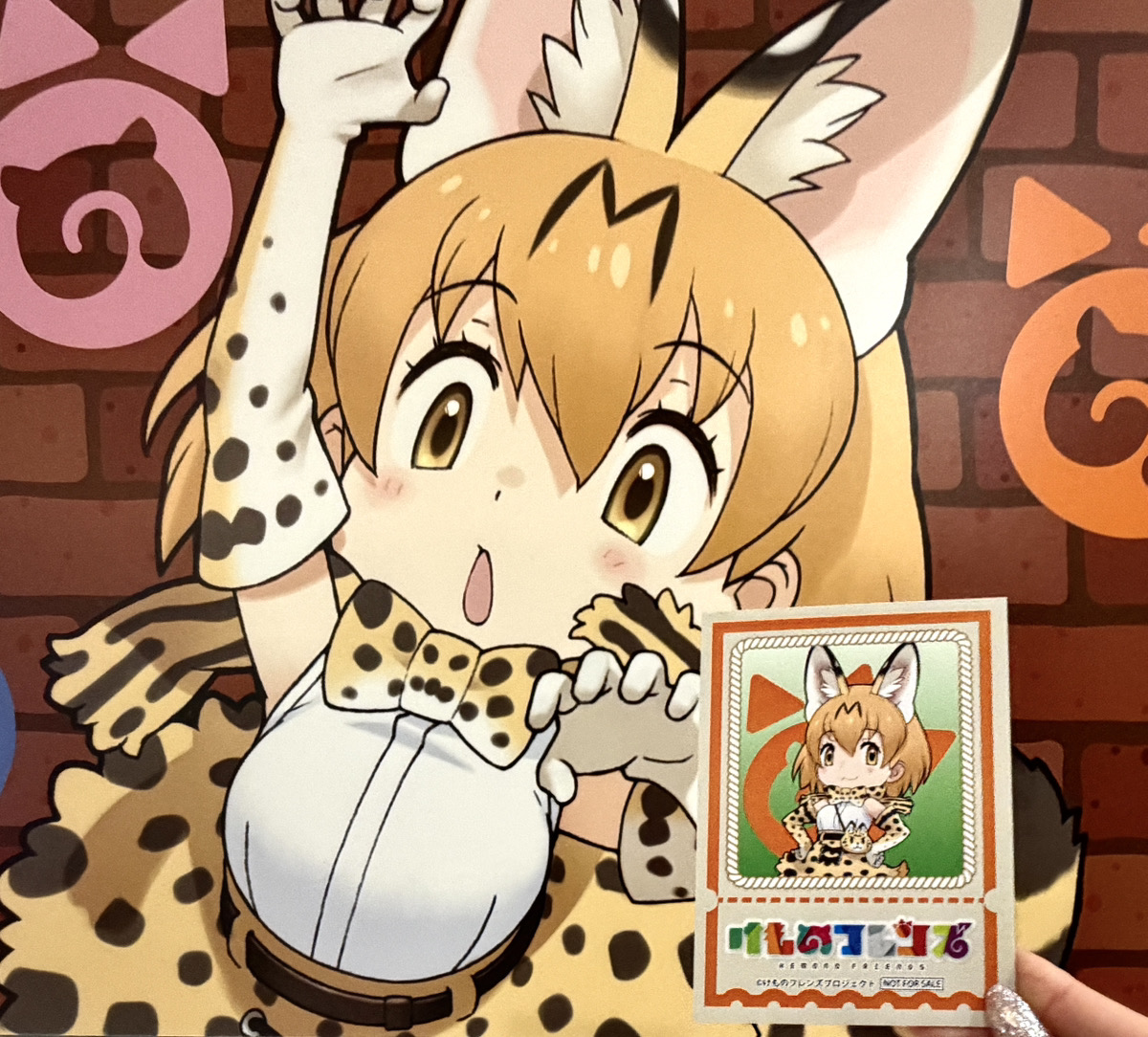 🧱【 けものフレンズPOP UP SHOP in Tokyo station】🧱 本日11/14(金