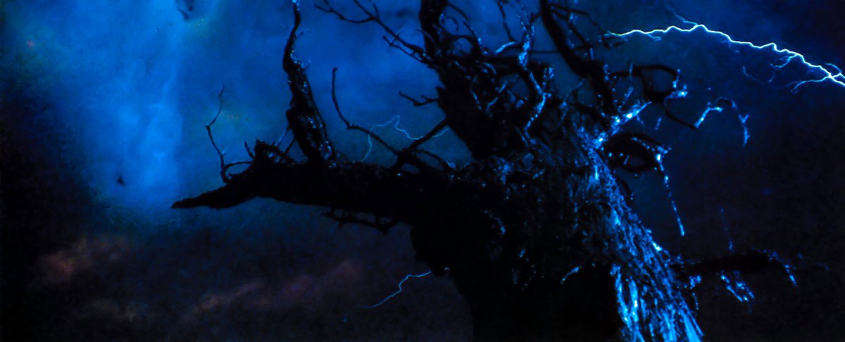 The spooky tree outside the kids' bedroom in Poltergeist (1982). Did you have an ominous sentinel like this waiting outside your window, threatening to reach in and grab you?