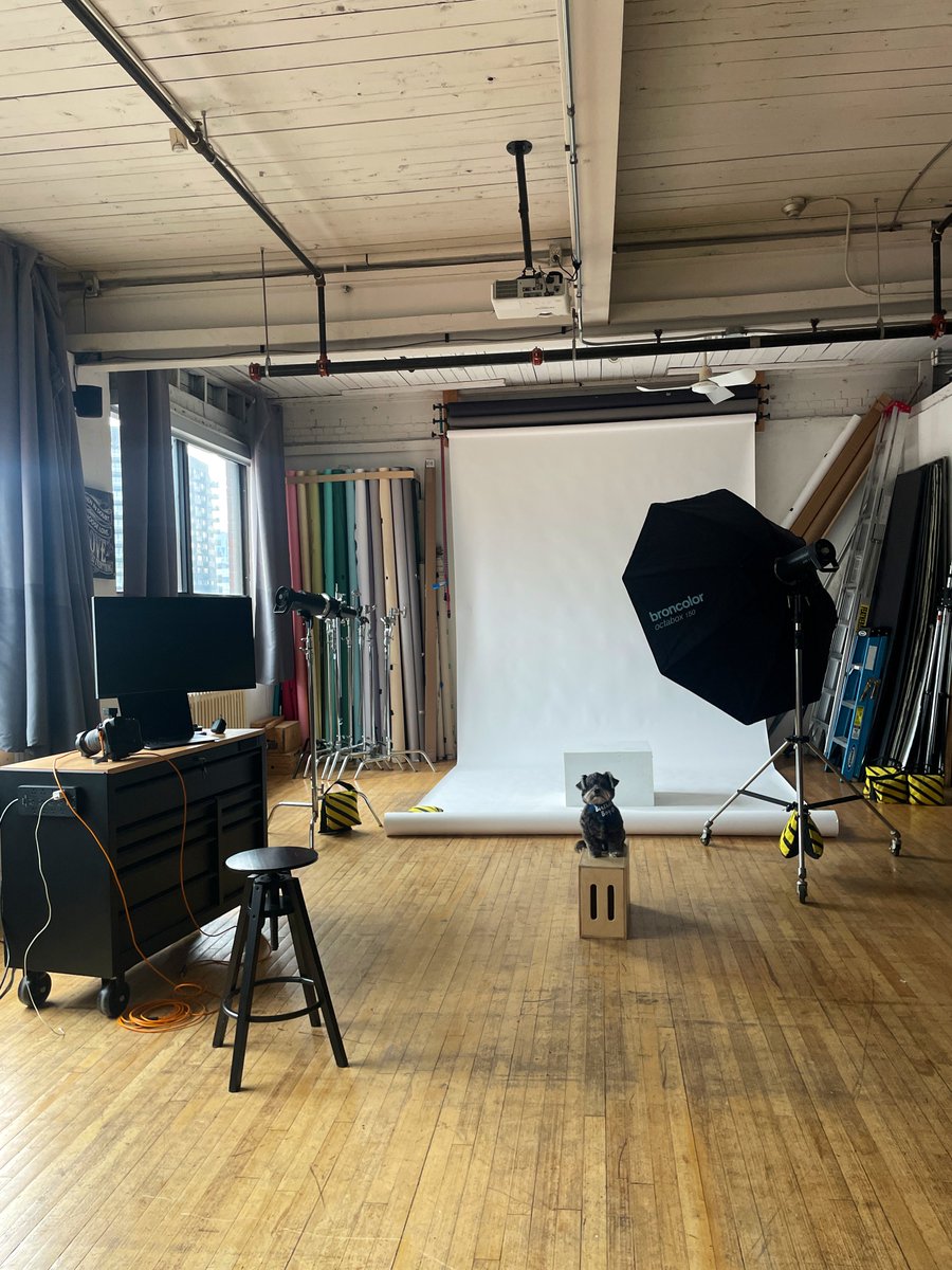 PAWELECphoto's tweet image. Yesterday was my little Bowie’s 5th birthday, so naturally we did a studio photoshoot!

He’s basically grown up on set, rubbed paws with more celebs than I can count, and is a total natural in front of the camera. Yep… he knew it was all about him.