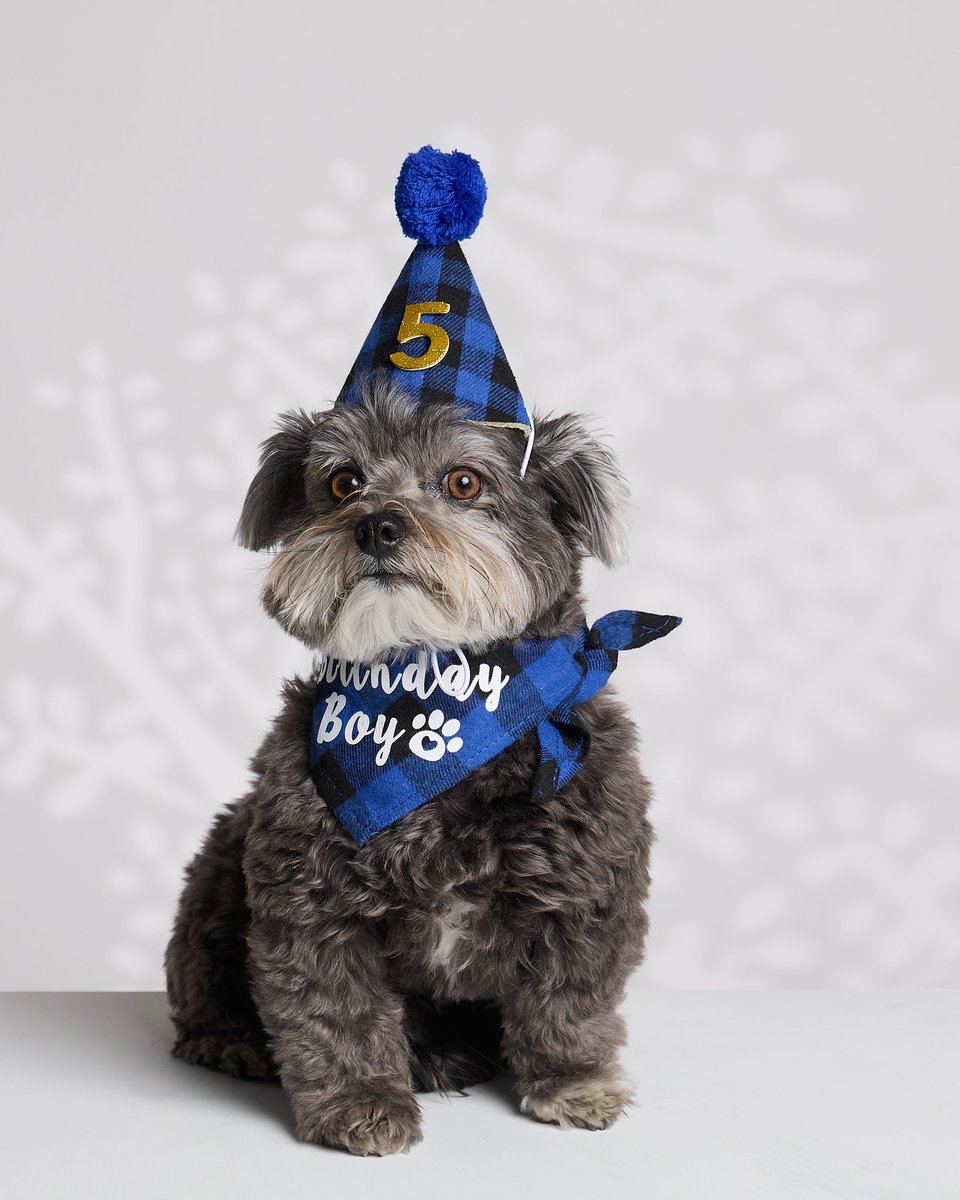 PAWELECphoto's tweet image. …and the results! 🐶📸