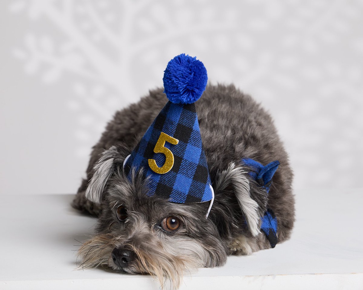 PAWELECphoto's tweet image. …and the results! 🐶📸