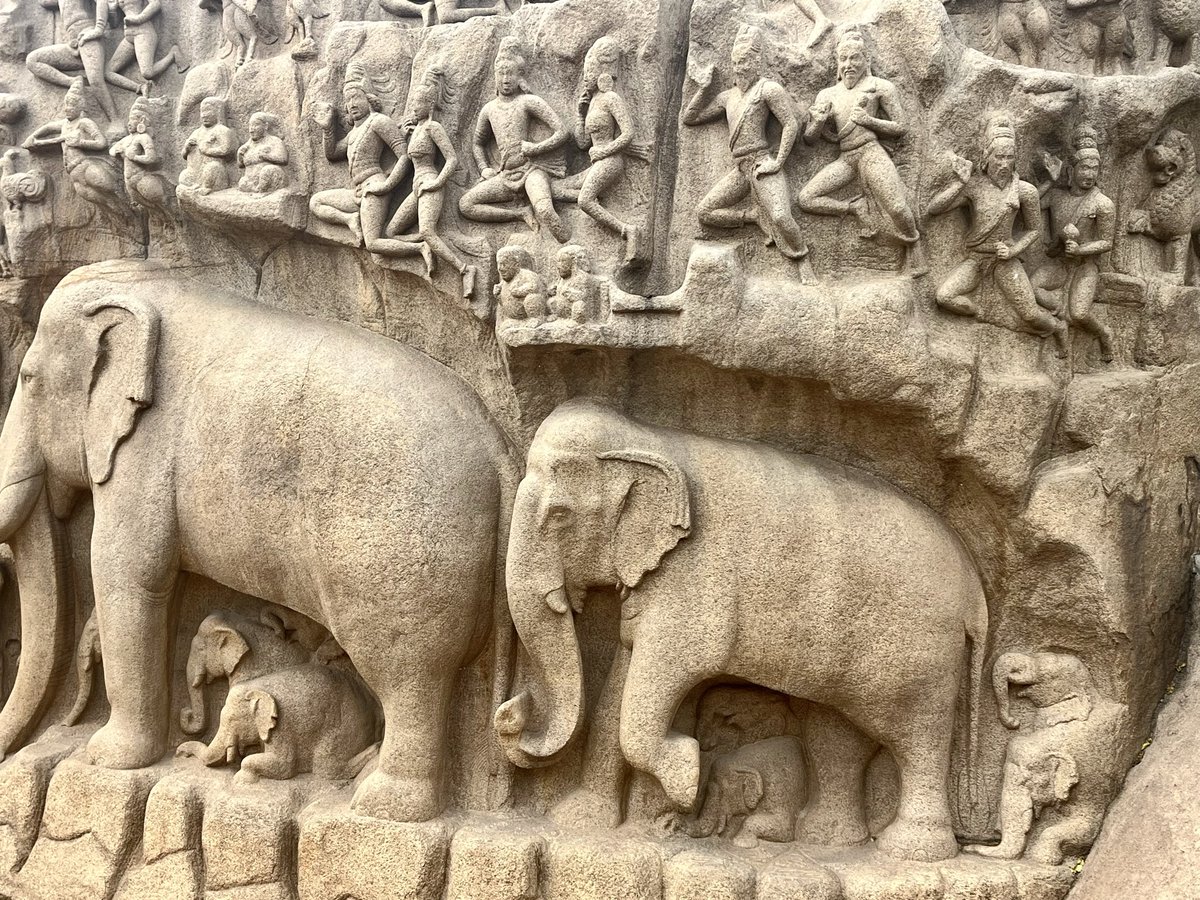 Bernadette Arnaud tweet media