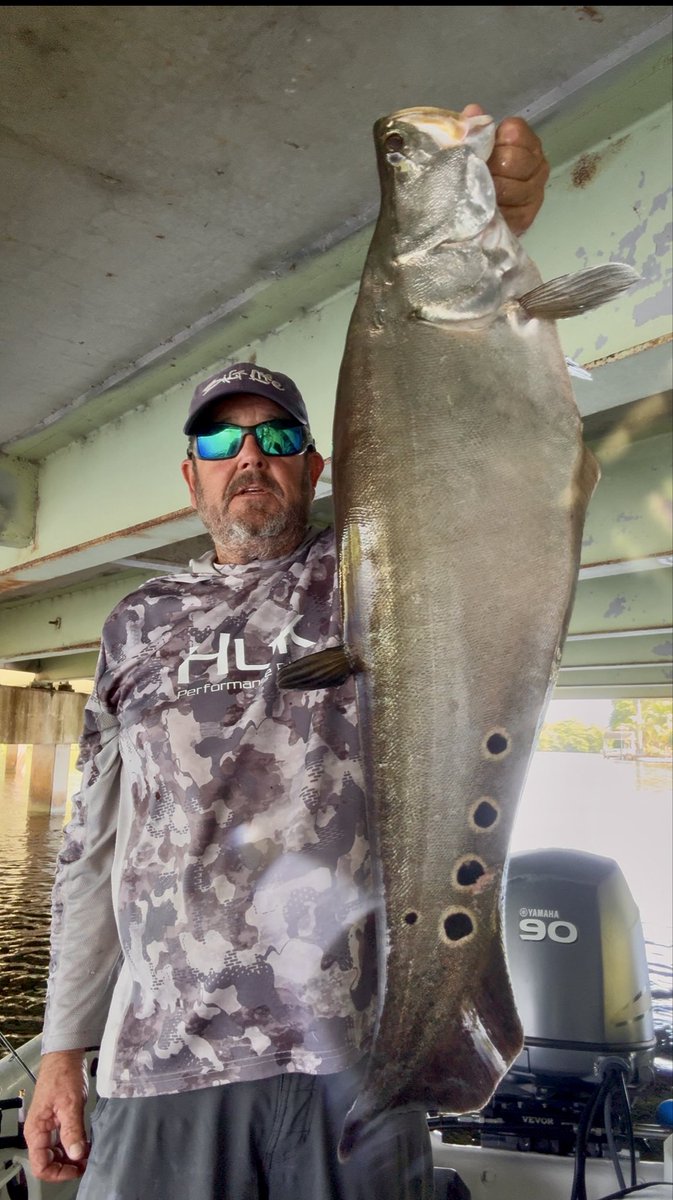 Native Son tweet media