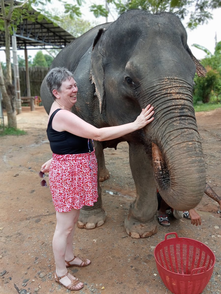 NellifantMc's tweet image. 3 years ago, I did. It was such an amazing experience 🩶
nellifantsnotions.wordpress.com/2023/01/09/ter…