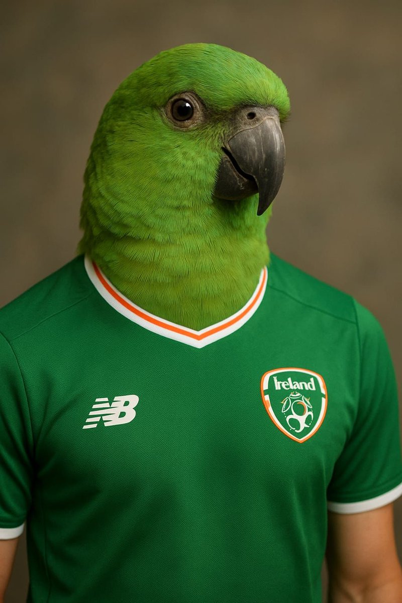 Don't think Adrian will have to ask Daniel who Troy is again 😉

🇮🇪 ✊️
<a href="/adrianjclarke/">Adrian Clarke</a> 
<a href="/MarkOHaire/">Mark O'Haire</a>