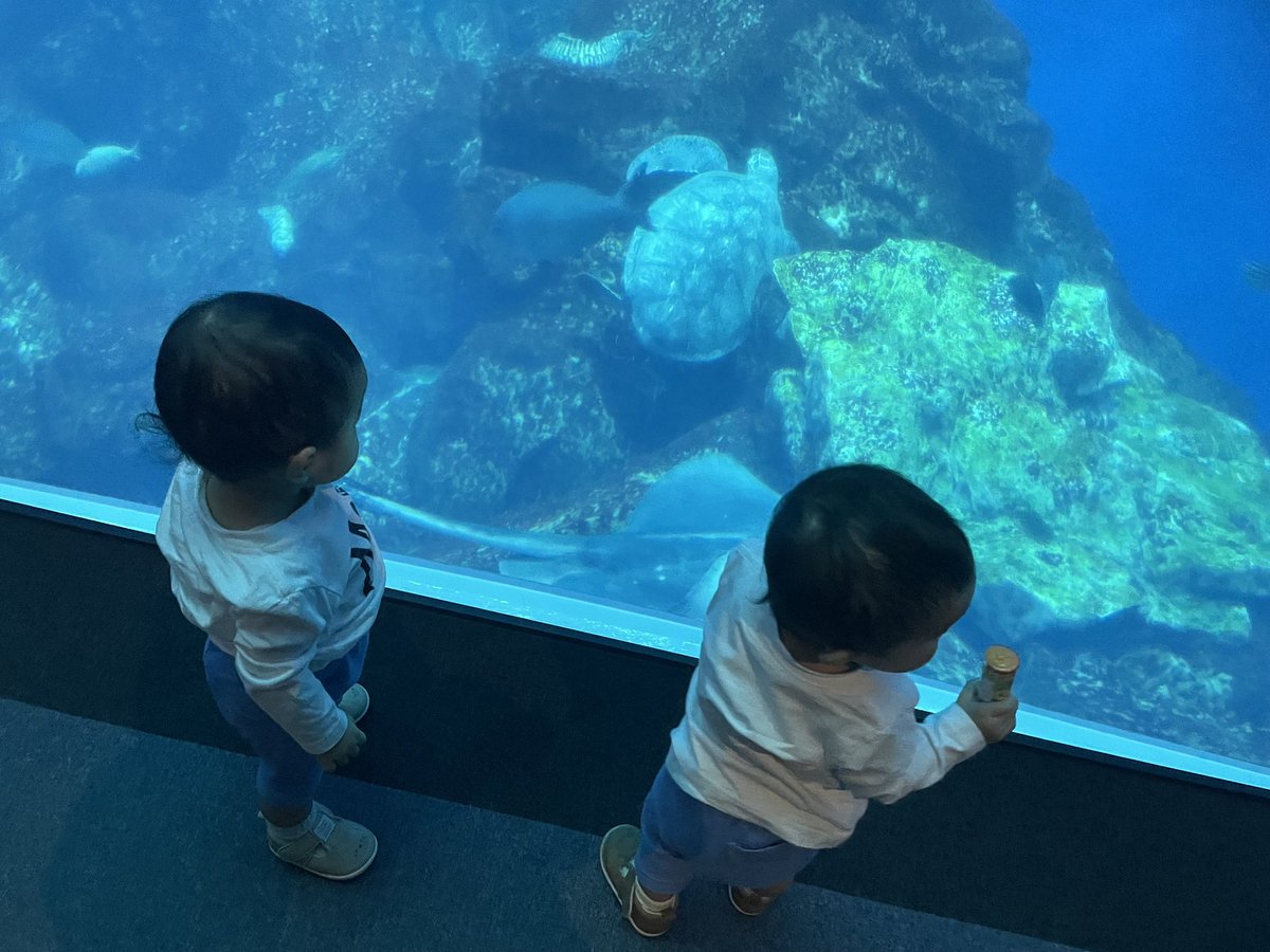 Xlio0_'s tweet photo. 初水族館楽しんでくれてよかった🐟🐢🐠♡ https://t.co/kFcDWEAUrZ