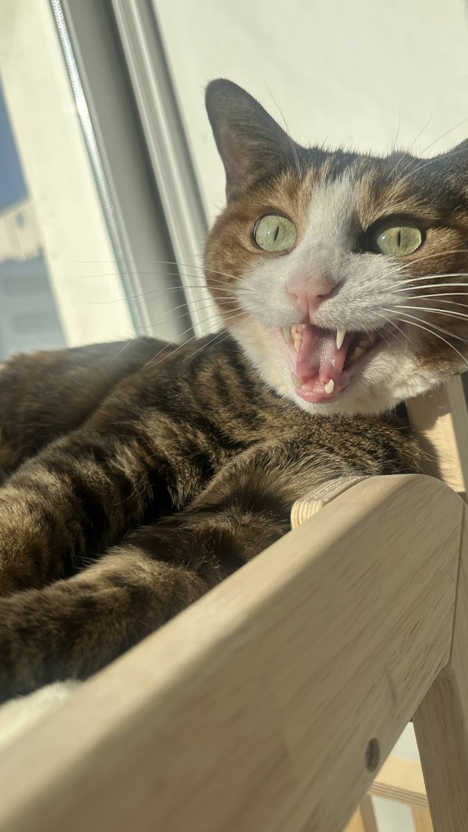 v2soo2's tweet image. 