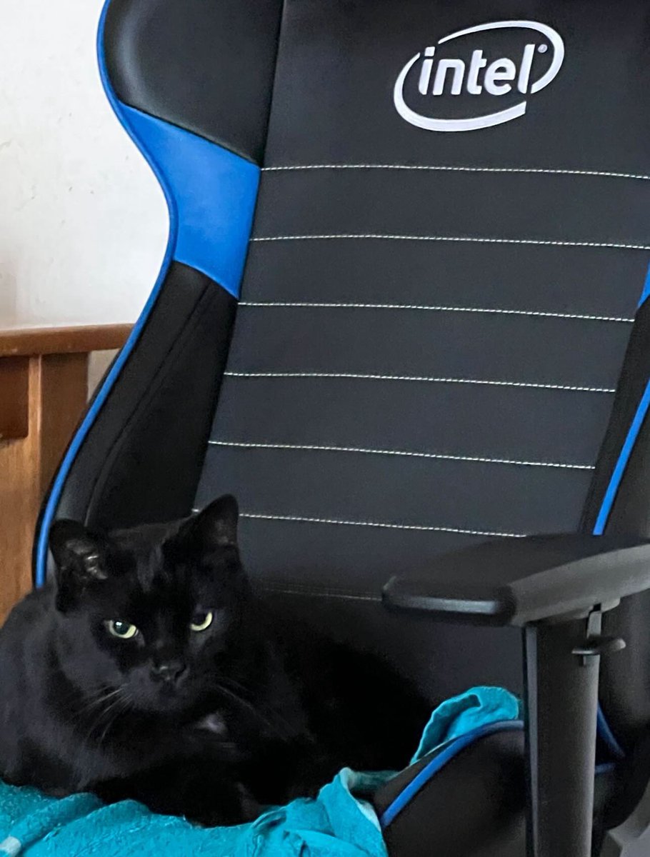 Jack L 📸💛🖤 tweet media