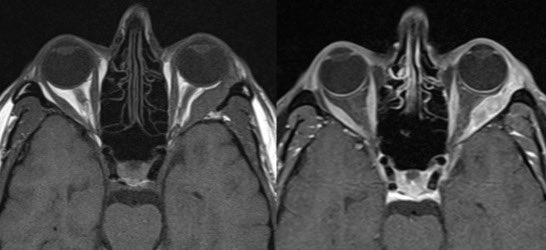 Daniel Gewolb, MD tweet media