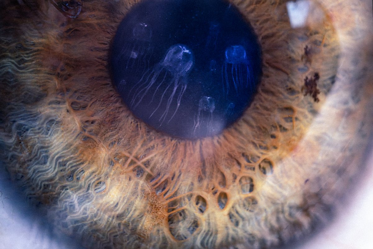 Valdevia_Art's tweet image. Broke: Using the plagiarism machine to generate nondescript cute animals in a pathetic attempt to stay relevant in the slop algorithm.

Bespoke: Using photoshop to meticulously craft new animals that feeble silicon minds could not even dream of conceiving.