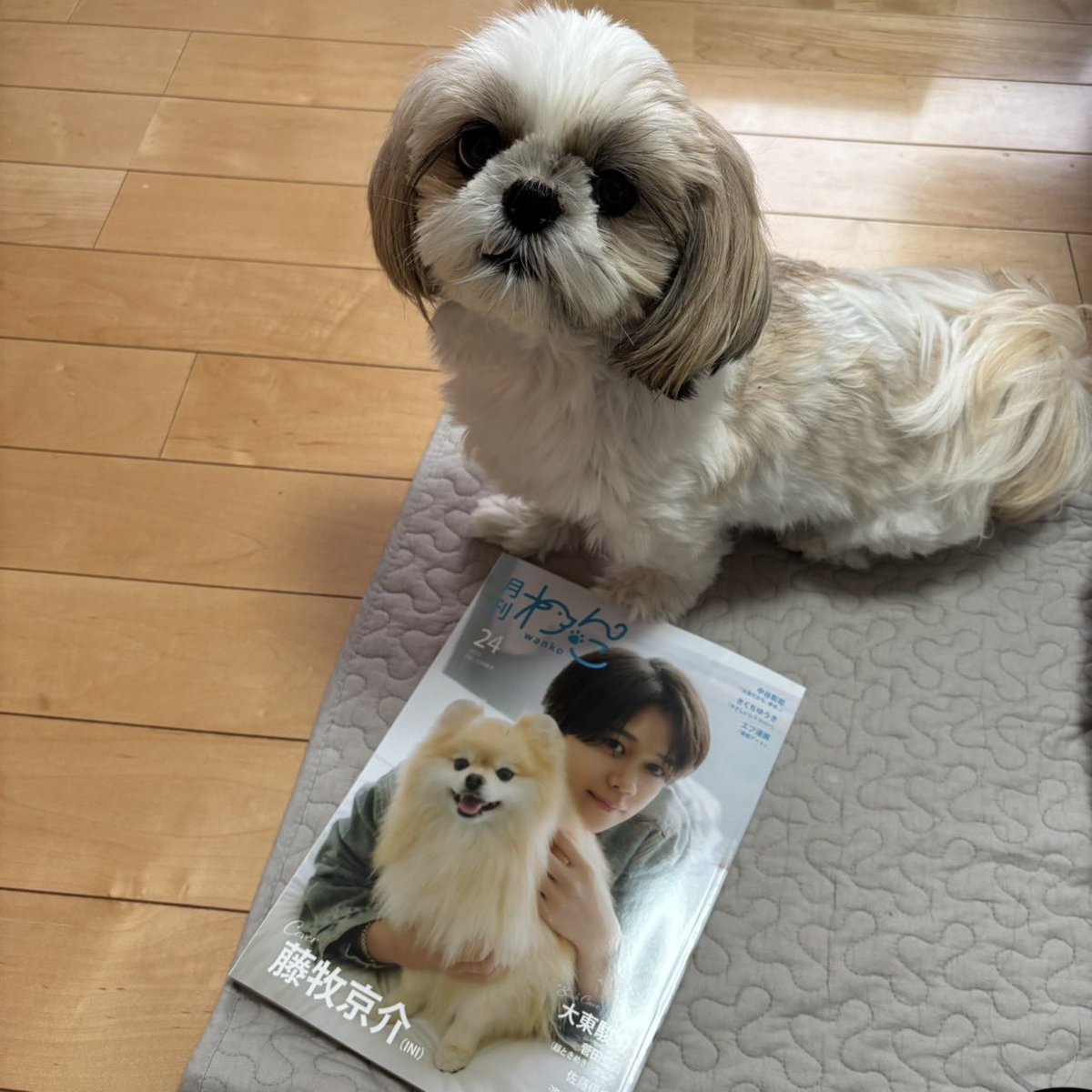 🐶<なんで他のいぬと撮らなきゃあかんの？