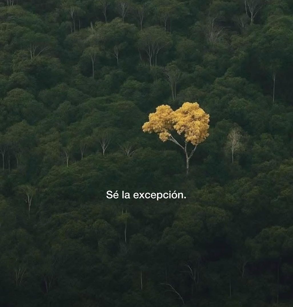 vibesfyp's tweet image. 