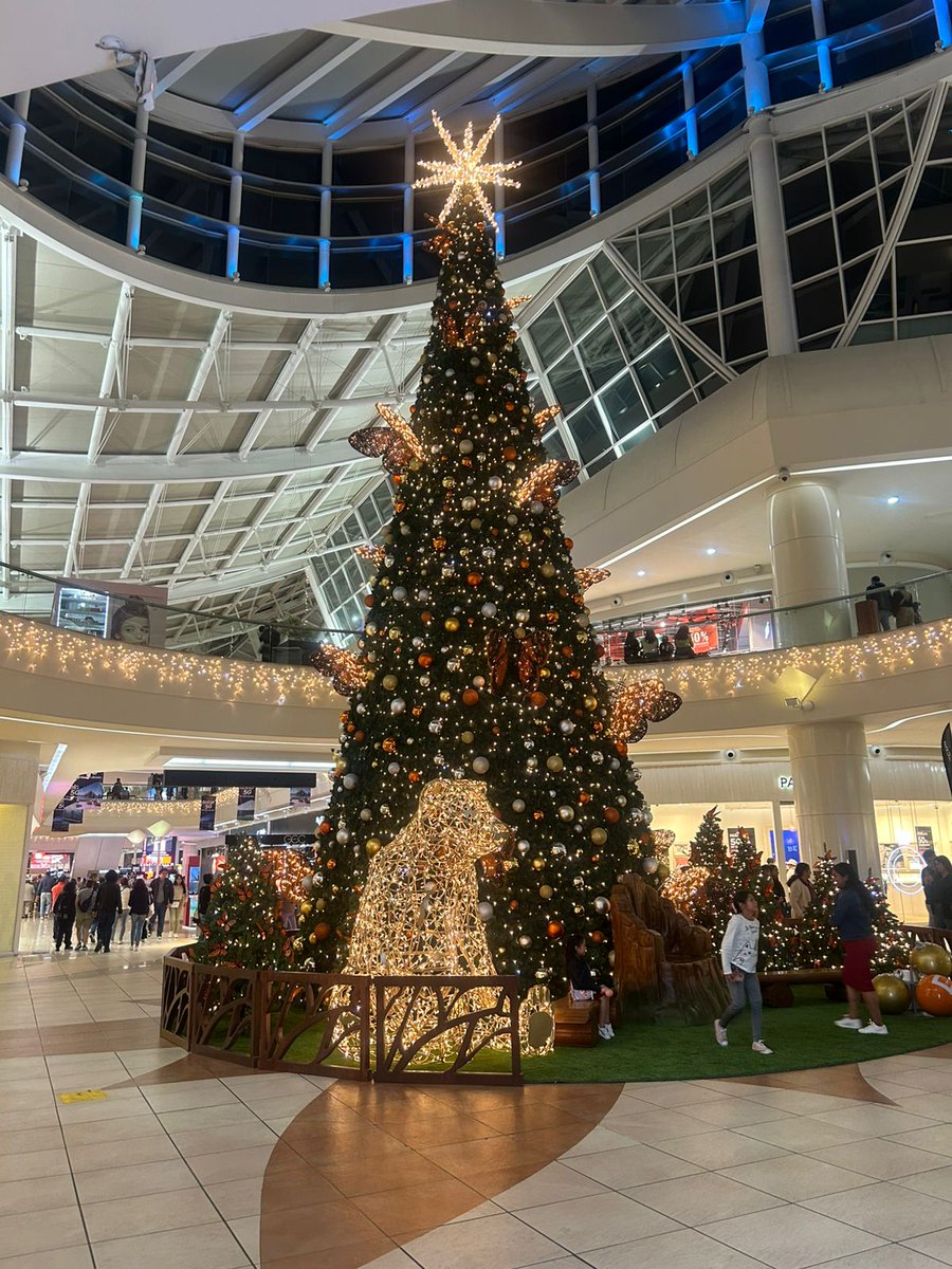 vozmichoacan's tweet photo. La Navidad está más cerca que nunca y Plaza Espacio Las Américas ya se viste colores y luces festivas 🙌🏻✨
Este año con temática de mariposas Monarcas 🦋
#plazalasamericas #navidad #decoracion #morelia https://t.co/263WSZAOND