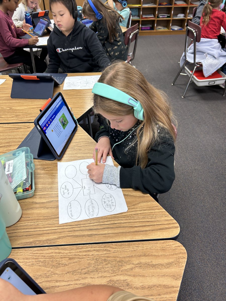 BertagniLisa's tweet image. Genius Hour (controlled inquiry) is in full swing!  Students chose a type of bird, completed research using Pebble Go, and are getting ready to create a Google Slides presentation. @MPSAldrich #IBPYP #Proud2bMPS