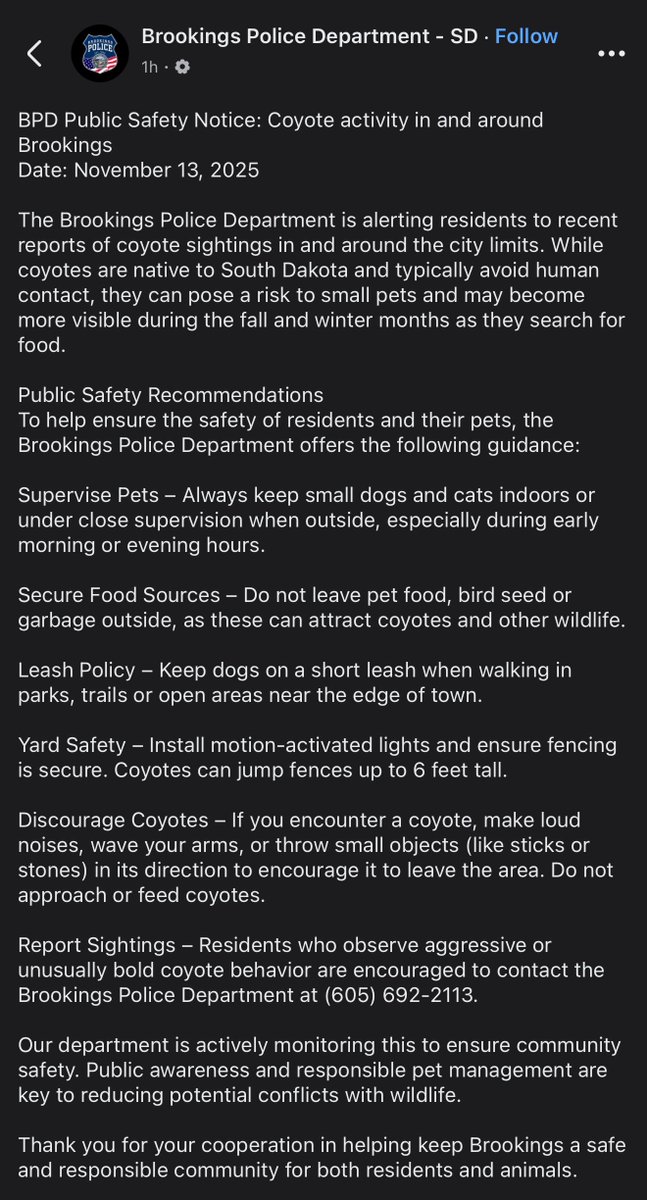 USDFans's tweet image. Watch out Brookings. the Coyotes are invading #GoYotes