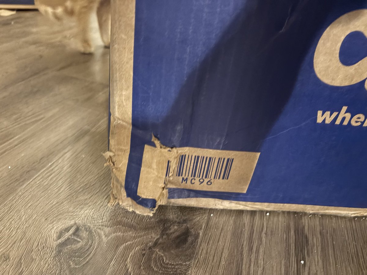 Allison C tweet media