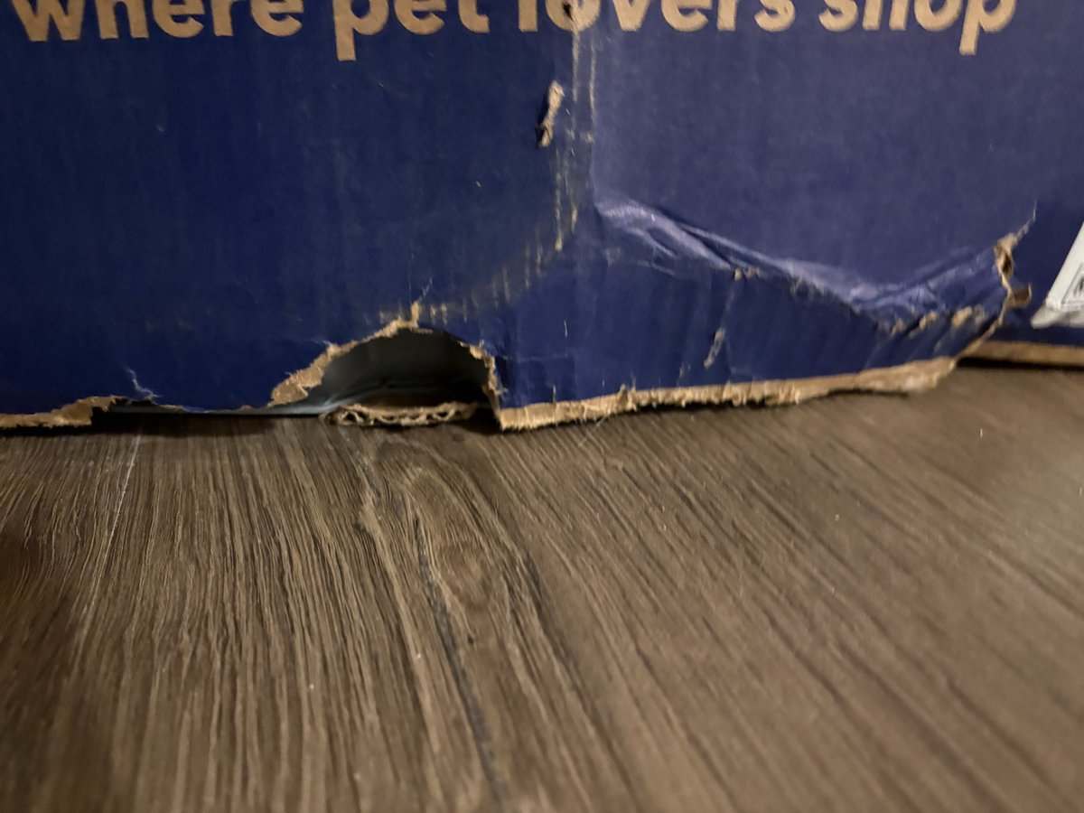 Allison C tweet media