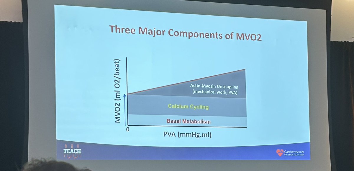 Chelsea Amo Tweneboah, MD tweet media