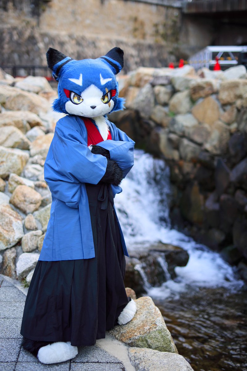 matagi_cat's tweet image. 和服いいよね！
#FursuitFriday