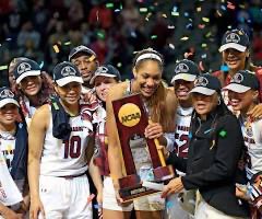 gotishgo's tweet image. Yes they have!!