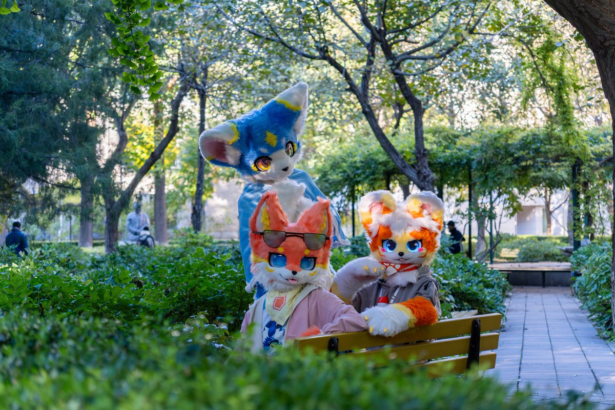 #FursuitFriday
北师大的教九小花园，藏在书声与楼影间的一隅秘境，很适合晨读的地方。晨光透过枝叶的缝隙，与诵读的声息交织，偶有驻足的身影相视一笑——原来是老朋友：<a href="/Ceason47/">Ceason夕炽</a> @飞喵
📷：<a href="/Furcat_flame/">狸焰/蔚辰🔜WFF</a>