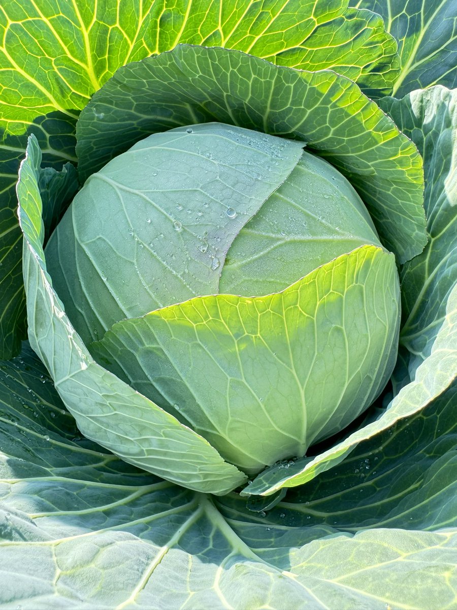 aatomoyaaa's tweet image. 去年からお声かけ頂いてたけれど中々タイミング合わなくてお会いできてなかった業者様とやっとお会いできた。
大きい所だから久しぶりに気合い入れてお会いした結果...

めっちゃくちゃ褒められた😭…