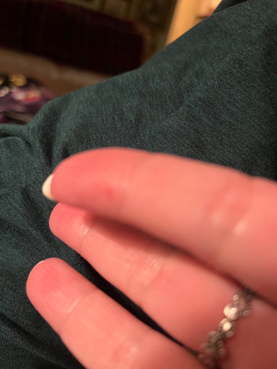 Ashley Hamilton tweet media