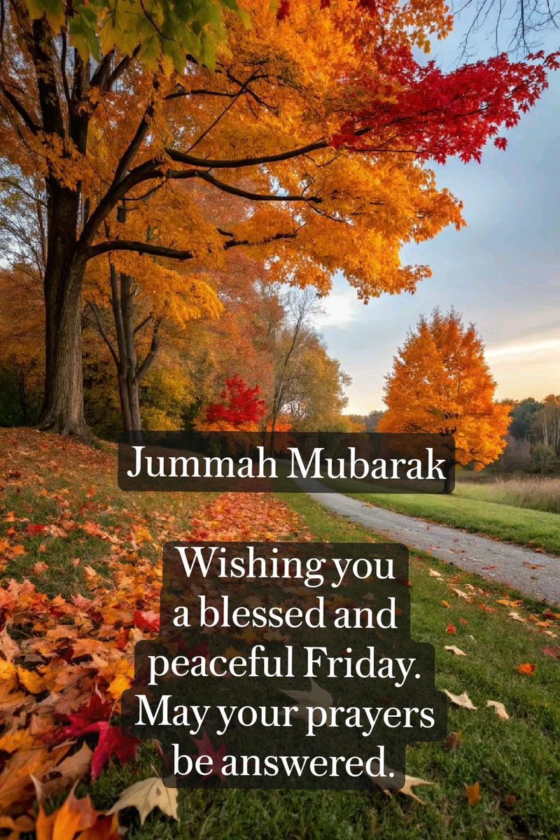 Madeeha39536061's tweet image. Jummah Mubarak wish you a blessed and peaceful ☺️ Friday may your prayers be answered ❤️🌹🌹🍂🍁

#JummahMubarak #xfamily #CreatorCommunity #stayhumble #connectwithme #REPOSTPAGE #shareforshare #followme #repostthis
