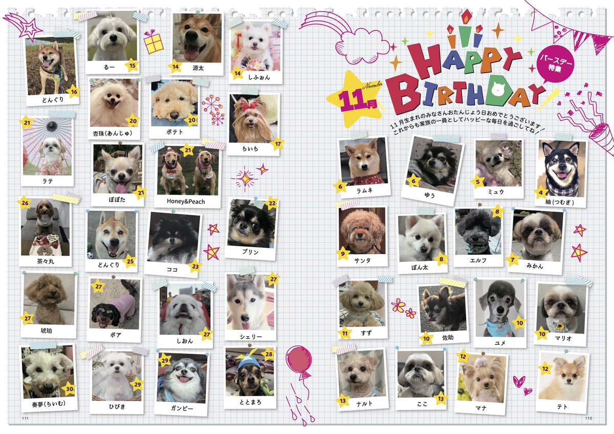 確認ページ♡わんこ 11月生まれのワンちゃん達🎂】 お誕生日おめでとうございます