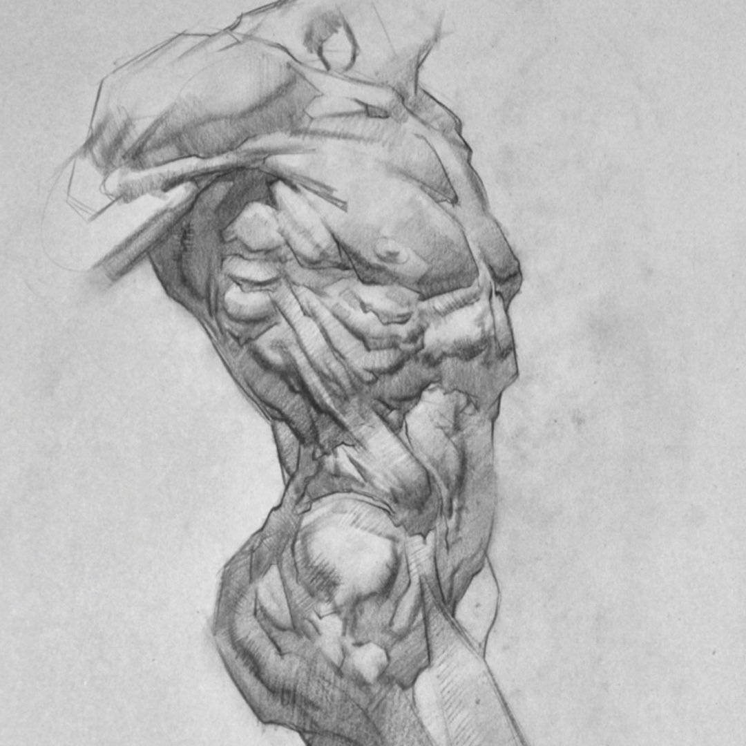 prokotv's tweet image. We&apos;ve got a Bridgman sketch tour with @WattsAtelier tomorrow at 2pm PT on our channel!

You can also start learning how to decode Bridgman with Jeff&apos;s new course
🔗 proko.com/bridgmancourse

#drawing #sketching #anatomy #bridgman #pencilart